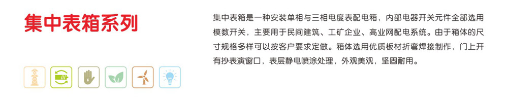 集中表箱系列